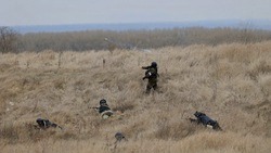 Вячеслав Гладков сообщил о формировании отрядов территориальной обороны 