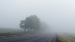 Белгородские синоптики спрогнозировали туман в регионе