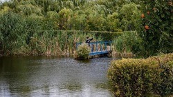 Сергей Бикетов сообщил о предстоящей очистке пруда Сазон в Волоконовском районе