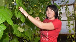 Волокончанка Ярина Бессонова заключила соцконтракт и выращивает овощи в грунте закрытого типа