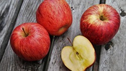 Специалисты провели дегустацию 36 сортов яблок из Корочанского плодопитомника