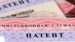 В Белгородской области ограничат привлечение иностранных работников по ряду отраслей