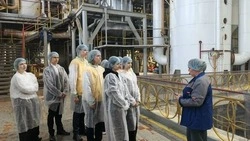 Одиннадцатиклассники Волоконовской школы №1 побывали на производстве завода «Ника»