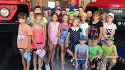 Провели время с пользой. 308 детей посетили школьный лагерь «Зодиак» в Пятницком