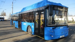 20 новых автобусов появились в Белгороде