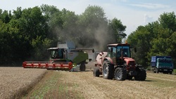 Аграрии завершили уборку зерновых в районе