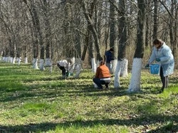 В Волоконовском округе прошел массовый субботник