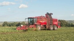 В Волоконовском округе началась уборка сахарной свёклы