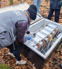 Борис Эбзеев: о важности защиты электросетей от незаконного майнинга