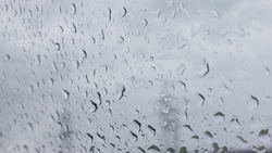 Кратковременные дожди придут в Белгородскую область 22 июля