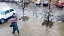 Порывы ветра до 18 м/с ожидаются на территории Белгородской области завтра