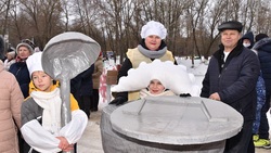 Пятый фестиваль саней «Зима по‑русски» прошёл в Волоконовском районе
