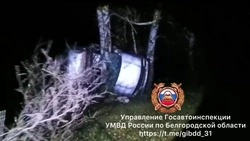 Две 18-летние девушки погибли в ДТП в Волоконовском районе