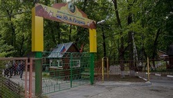 Белгородские власти усилят охрану загородных лагерей в летний период 