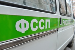 Судебные приставы Белгородской области провели проверку миграционного законодательства