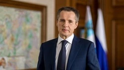 Вячеслав Гладков поздравил женщин с Днём матери