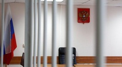 22-летний новосибирец получил 14 лет за покушение на теракт в Белгородской области
