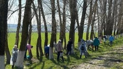 Неравнодушные волоконовцы продолжили благоустраивать территорию округа