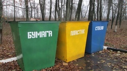 ЦЭБ направит 79 млн рублей на закупку более 6 тыс. мусорных металлических контейнеров