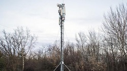 Базовая станция сотовой связи появится в волоконовском посёлке Малиново