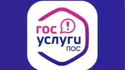 Почти 24 тысячи обращений белгородцев поступило через Платформу обратной связи с начала года
