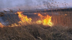 Виновники весенних пожаров выплатили штрафы на общую сумму 58 тысяч рублей