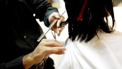 Специалисты провели независимую оценку квалификации парикмахеров области