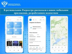 Региональный Росреестр рассказал о новом мобильном приложении