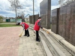 Жители округа продолжают благоустраивать территории в рамках экологических инициатив