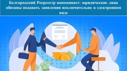 Росреестр напомнил: юридические лица обязаны подавать заявления исключительно в электронном ввиде