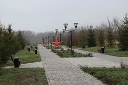 В Волоконовском округе прошла акция «Сад памяти»