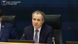 Вячеслав Гладков заявил о необходимости правовой борьбы с провокациями