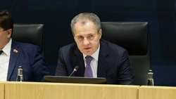 Вячеслав Гладков поручил уделить особое внимание поддержке жителей в реализации грантовых проектов