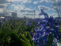 До 3 градусов мороза похолодает в Белгородской области