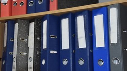 Белгородцы смогут попробовать свои силы во Всероссийской олимпиаде «Я – профессионал» 