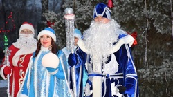 Торжественное открытие новогодней ёлки прошло на центральной площади Волоконовки