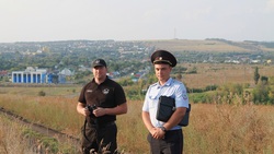Инспекторы экологической службы проводят рейды по выявлению фактов сжигания мусора