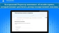 Росреестр напоминил волоконовцам об онлайн-сервисе ведомства