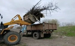 В Волоконовском округе прошёл экологический флешмоб «#Экочеллендж31»