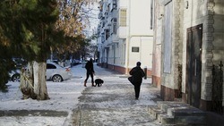 Власти продлили выплату компенсаций за аренду жилья переехавшим из приграничных сёл белгородцам 