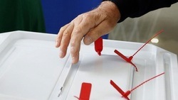 Вячеслав Гладков сообщил о пришедших 10 тыс. избирателях на досрочное голосование в первый день 