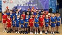 Волоконовские спортсмены завоевали 12 медалей на турнире «Молодой Лев» по ушу саньда