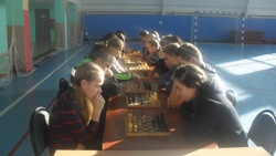 Грушевские школьники победили в районной спартакиаде по шахматам
