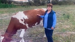 Жительница Грушевского сельского поселения развивает свое дело благодаря соцконтракту