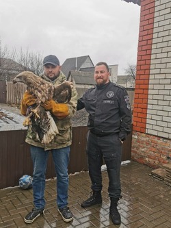 «Включите сердце». Волоконовец Павел Курлов спас орлана-белохвоста