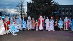 Торжественное открытие новогодней ёлки прошло на центральной площади Волоконовки