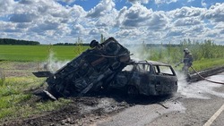 Смертельное ДТП произошло в Волоконовском районе