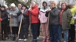 Единый день высадки тюльпанов прошёл в Волоконовке