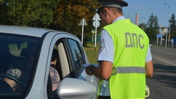 Белгородская Госавтоинспекция зафиксировала около 8 тысяч случаев нарушения пешеходами ПДД
