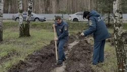 Белгородцы поддержали акцию «Сад памяти»